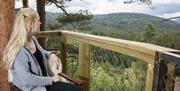 Utsikt Trehyttene i Gjerstad