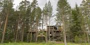 Kråkeslottet Trehyttene i Gjerstad hytte