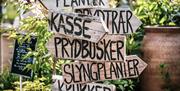 Stemningsbilde