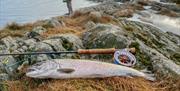 Sjøørretfiske på Sørlandet
