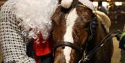 En julenisse og en hest med nisselue står klare for å hilse på barna under julebyen i Lyngdal.