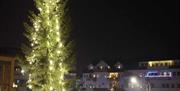 Juletre med lys i forgrunnen og skøytebane med barn i aktivitet i bakgrunnen. Kvelden er mørk, men full av julestemning.