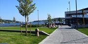 Barbu Park
