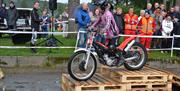 trailoppvisning