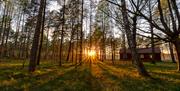 The cabin in the woods by the sea. Raet Nationalpark, Arendal, Norway