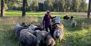 Flekkefjord Landhandel