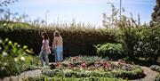 Et par ute og tusler i hagen med mye grønt og blomster