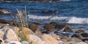Boulder and pebble beach on Spornes, Tromøy island, outside of Arendal in Southern Norway, Peder Austrud.