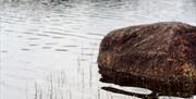 Kleivvannet