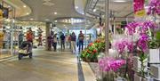 inne i shoppingsenteret ALTI Arendal med orkideer til høyre i bilde.