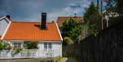 smug på Tyholmen med et lite hvitt trehus med røde klatreroser på veggen og hvitt stakittgjerde rund den lille tomten.