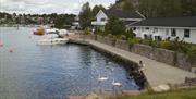 Barn som sitter på brygga, svaner som svømmer forbi på vannet