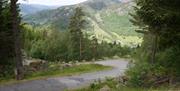 Tronåsen