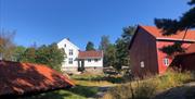 Bragdøya