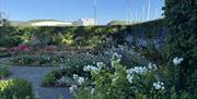 Blomster i Andorsenhaven