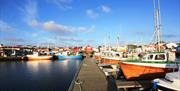 Borshavn brygge