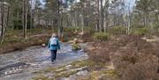 Bilde av ryggen til en dame med blått turtøy og rosa pannebånd gående mot skogen