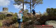 Treskilt med røde bokstaver: skogknuten. Som viser at du er framme
