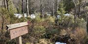 Bilde av skog med skilt pekende inn mot skogen som er risset inn "Bjørnehåla"