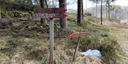 To stolper med skilt. Retning til venstre: Skogknuten & Frem-Hytta. Retning til høyre: Tjønåsen