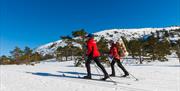 Vinter på Hillestad