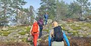 Damer på tur