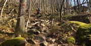 Bilde fra Einerfjell