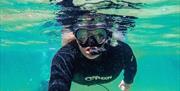 Snorklesafari