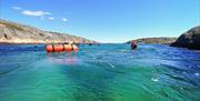 Snorkling på Sørlandet