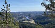 Utsikt fra toppen, skog så langt øyet kan se. skyfri himmel
