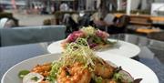 Matbilde, scampisalat, grønn salat med vårløk, reddik, bønnespirer og scampi