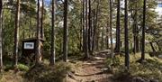 Bilde av skog med sti i midten. til venstre er det en liten brun bygning og har et skilt som står "167 m.o.h"
