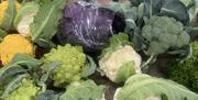 Noen grønnsaker