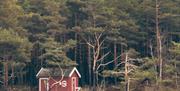 Liten rød bu foran skogen, langs vannet