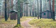 To små hytter i høst skogen