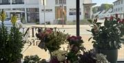 Blomsterpotter i vinduskarmen med utsikt mot gate og bygninger i Lyngdal sentrum.