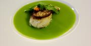 Kamskjell i grønn saus på Arendal Herregaard Spa & Resort