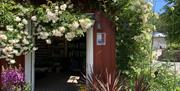 lite rødmalt hus med flotte blomster på Lundbergs Planteskole