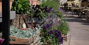 Blomster utenfor Meieritorvet