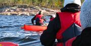 Padling i Bortelid