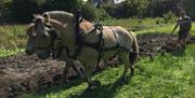 Pløying med hest med redskap fra K. K. Lien