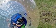 zorb