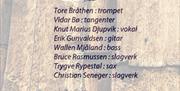 SoulTrain Konsert Kommandanten 08.08.25