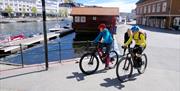 syklende i Pollen i arendal