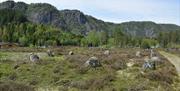 Tingvatn