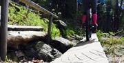 syklist på tungvekter-sykkelstien i arendal