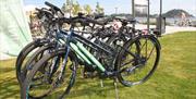 Picture of rental bicycles