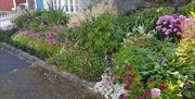 Blomster