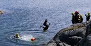 mann gjør salto ned i vannet under caosteering på Tromøya.