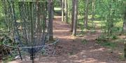 Biland frisbeegolf